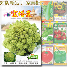 �����˷N�� �r���F �N���� ����Ʒ�N �s15�� �_�R������Ҭ�˷N��