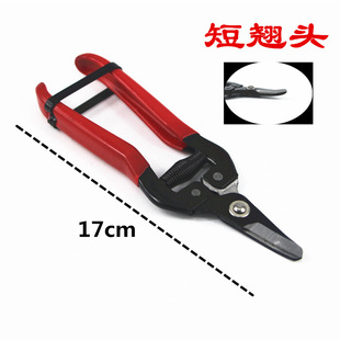 Flowers and plants scissors pruning shears household pitaya scissors fruit picking scissors short straight head flower pruning shears vegetable and fruit mushroom