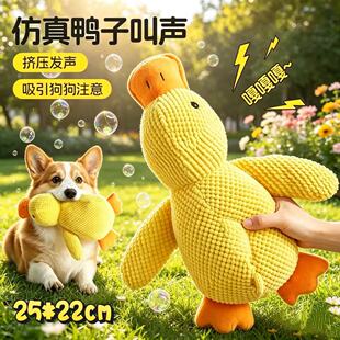 �����������߽␞��������С��ë�q��ż�����˰lĥ����ҧ