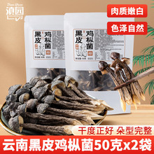滇园黑皮鸡枞菌50克/袋云南特产鸡枞菌干货鸡枞菇菌菇干菌子