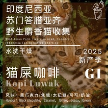 玩豆25新产季印尼苏门答腊亚齐猫采集猫屎咖啡生豆醇厚