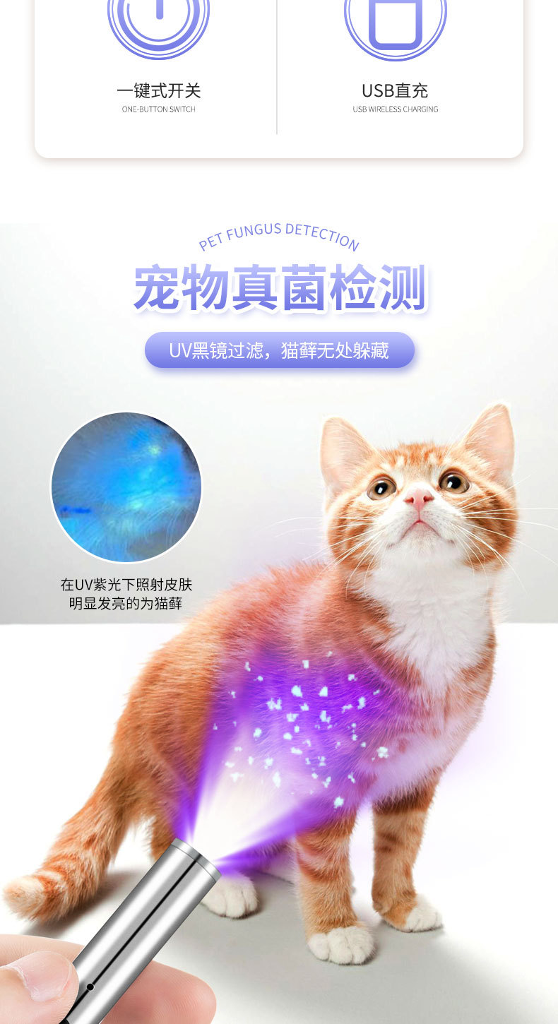 猫藓灯