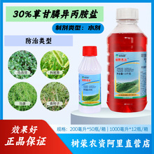 GҰ_ 41%ݸ좮}Ʒ@ݸsݠԳ݄