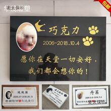 ̫������СĹ���Ї��ڝh�������ʯ���M���֑��⹷��؈��o��ʯ