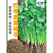 ͟С~˷Nɽ|ƷN~ܾݴNݴĲļ̨