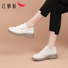 �t����ŮЬ�����¿�Ь�Ӱ�ɫŮʿ���e����ЬƤЬŮ�����߲����_