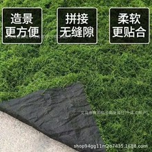 ����̦�\��ƺ�G�����^��̦��Ƥˮꑸ����ֲ�����ˮ̦�辰����