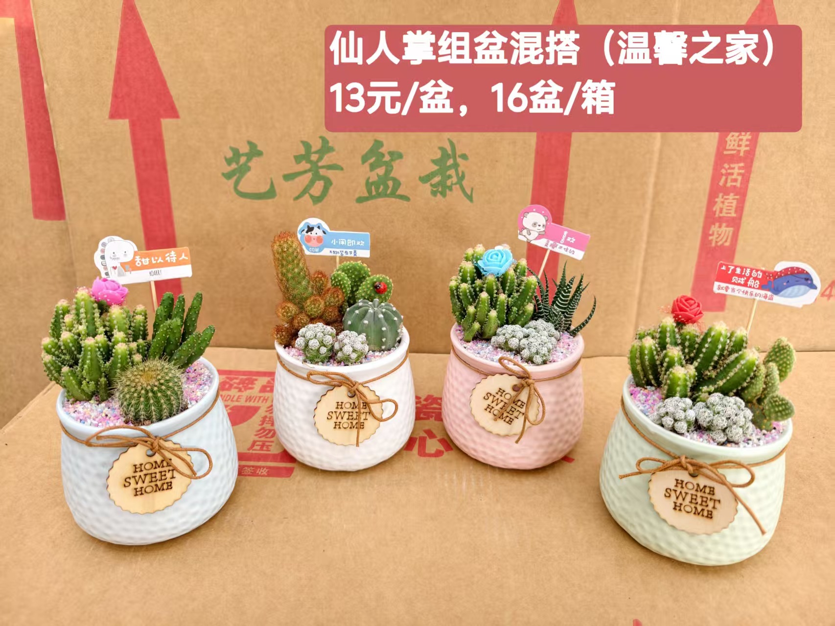 Cactus combinación de vidrio cerámico base de guangzhou venta directa factura boleto especial soporte de cotización de tres partes fábrica directa