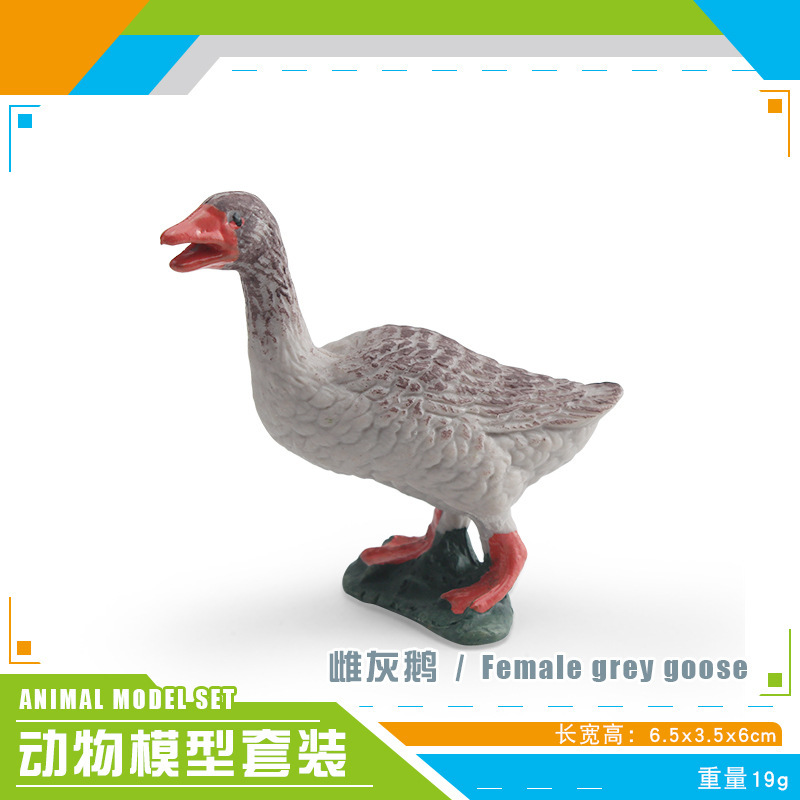 Simulación transfronteriza verruga nariz cisne cisne negro pollos de gallina granja de pollo de corral modelo de decoración ornamentos estáticos