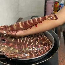 ��������Ұ���tצ���r  ���r�ڻ��r�̹����r  ���r ����l؛���l