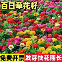 羳ľ߲ذ껨Nļ_ͥԺղݻN