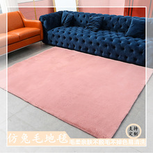 仿兔毛地毯飘窗垫客厅卧室地毯茶几毯毛绒床边毯毛绒地毯源头厂家