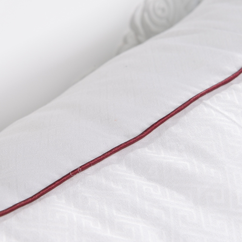 New Plush Printed Hotel Pillow Feather Velvet Double Pillow Core Home Student Fluffy Soft Single Pillow Wholesale