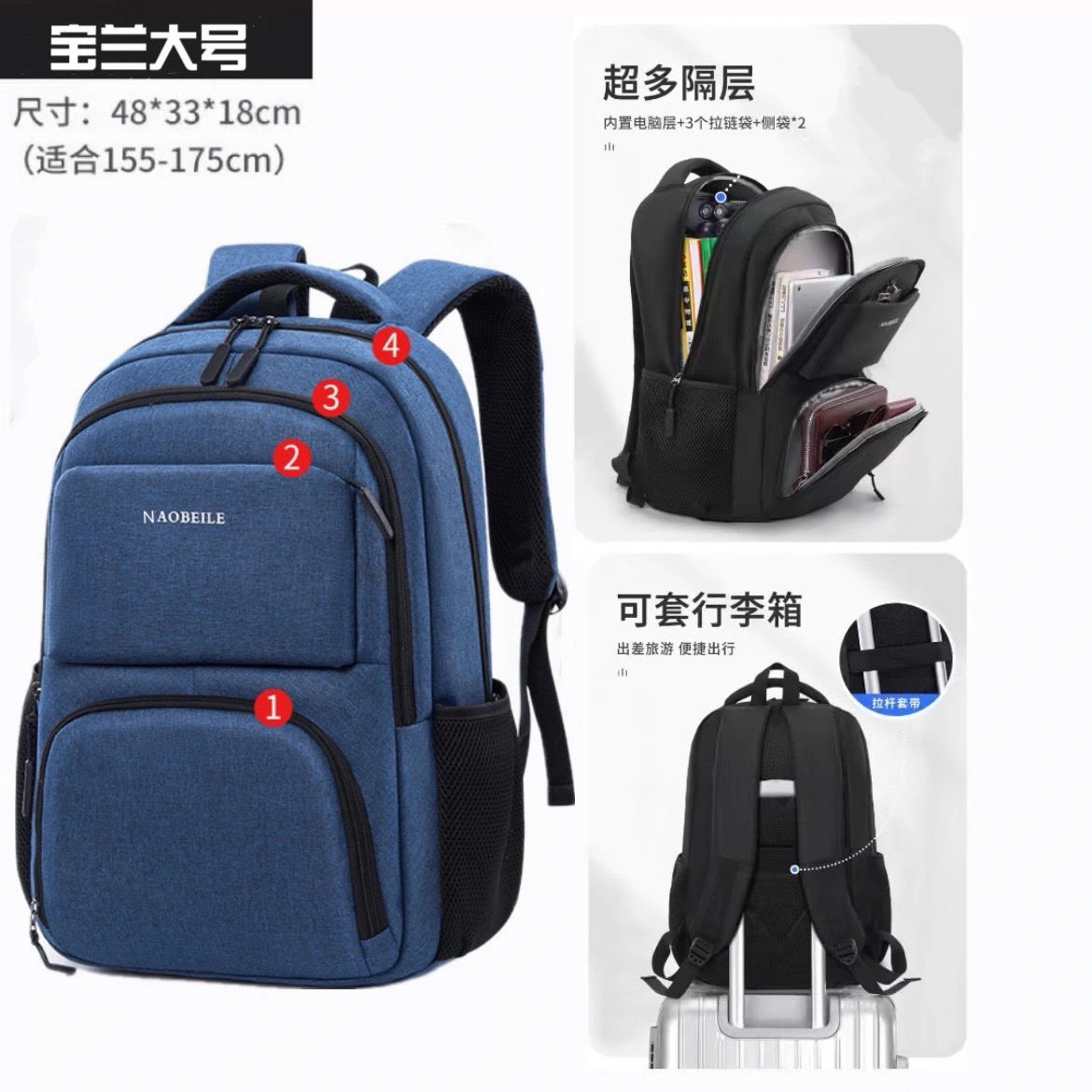 로얄 블루 L사이즈