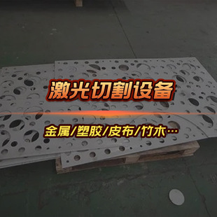Shenzhen Longgang 3000W fiber laser cutting machine 6015 table door industry explosion model laser equipment manufacturers