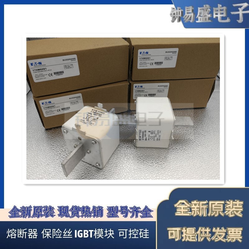 美国BUSSMANN熔断器170M6008  170M6009 170M6010  170M6011