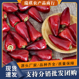 �F���ӏ��^���������������Ĵ����\���������㳯�콷�ɼt������؛