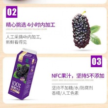 广东农科院宝桑园桑果汁946桑果汁桑葚汁100%NFC整箱礼盒装饮料