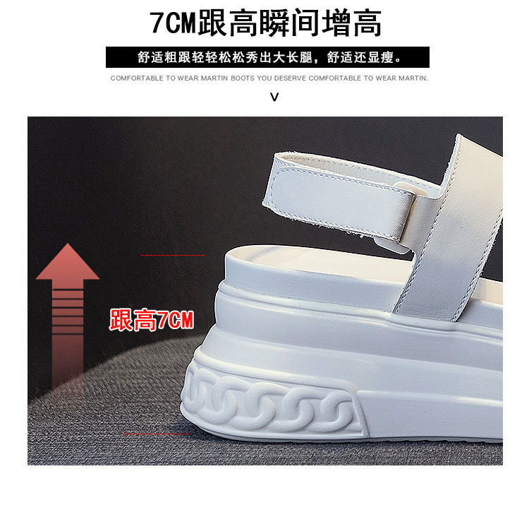 65017详情页_14.jpg
