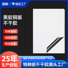 A4��ɫ�zˮ�~�漈�طN�����z�˺�����N�ڵ����w�հט˺���ӡ��