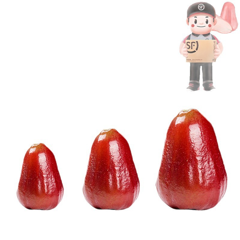 SF Express 2.5kg 海南ブラックダイヤモンド蓮霧フルーツギフトボックス蓮霧フルーツ新鮮な大きな果物蓮霧フルボックス送料無料|undefined