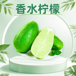 �����ˮ���� ���l���l1/2/3���ӏ��^������ˬ��֭��Ʒ�����rˮ��