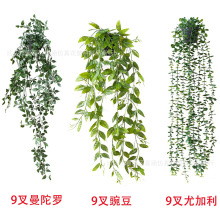 �F؛ֱ�N���@����ֲ��ڒ������_ �ٗl���l�ٻ������b���������