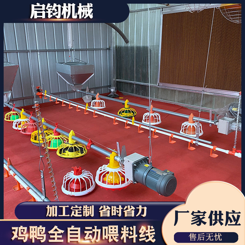 平养散养自动料线水线 肉鸡料线水线 自动喂料喂水料线支持定制