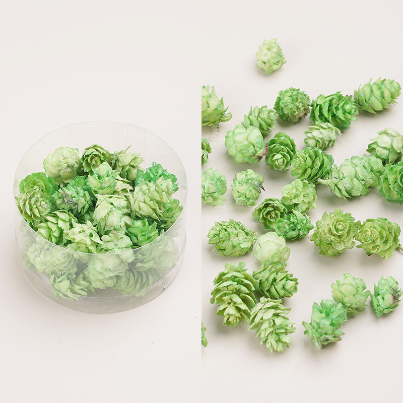 天然アロマキャンドル乾燥果花材クリスマス花輪diy乾燥花材植物標本装飾画松果|undefined