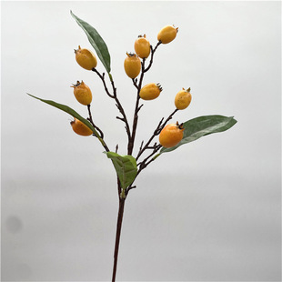 ����ɳ���� ���˹��Ҿ��bӰ��gܛ�b�𼬹��ٻ�ֲ��