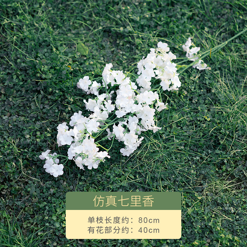 시뮬레이션된 Qilixiang