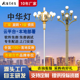Outdoor square Chinese lamp magnolia lamp factory direct LED Chinese road high pole municipal large landscape lamp