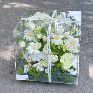 �����΁������������л���õ��������չʾ���˹��Y��