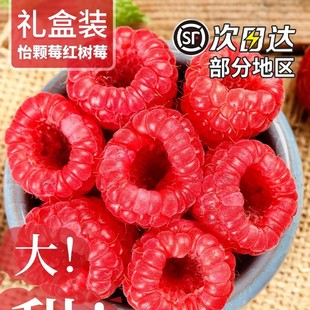 �t��ݮ�r���ЋDˮ��������ϡ�ПᎧ������wݮ���r���÷��S����