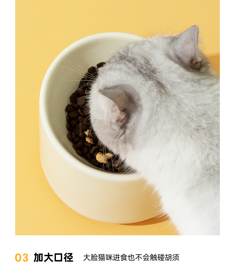 猫狗碗_22.jpg