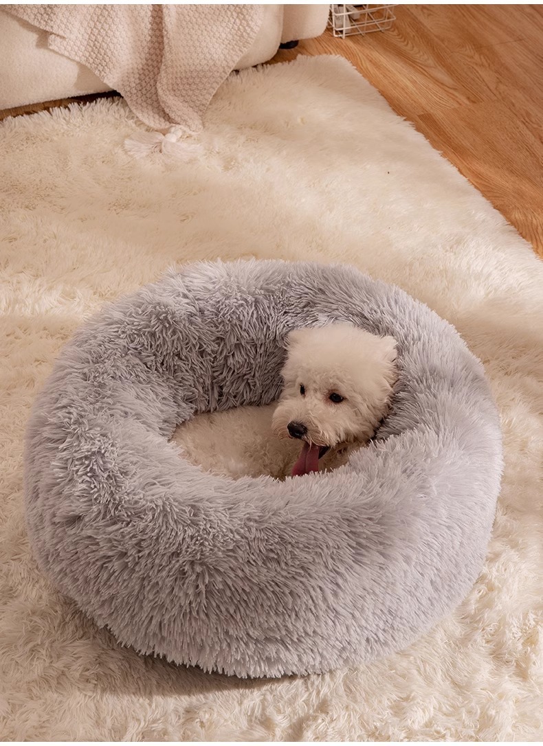 e72866aa-be1e-4e1a-bb4e-f62ca3ff644c.jpe