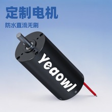 直流無刷防水家用冷櫃旅游觀光船電梯門泳池清潔機器人可定制電機