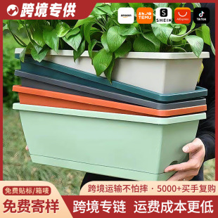 ���羳���Ӻ�N�ˌ������̨�L�������ϻ����ͥ�߲��ش�̖�Nֲ��