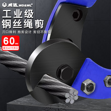 ���_ 䓽z�K�����ྀ�Q��|����䓽z�����|�����������U���8��