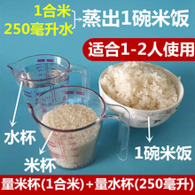 批发煮大米饭水与米的比例各放多少蒸米饭配比计量杯刻度量水杯量