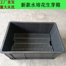 ���ϻ���ѿ�Nֲ���ɫѨ�Pˮ�໨��ѿ��˰嶹ѿ�仨��ѿ����P��