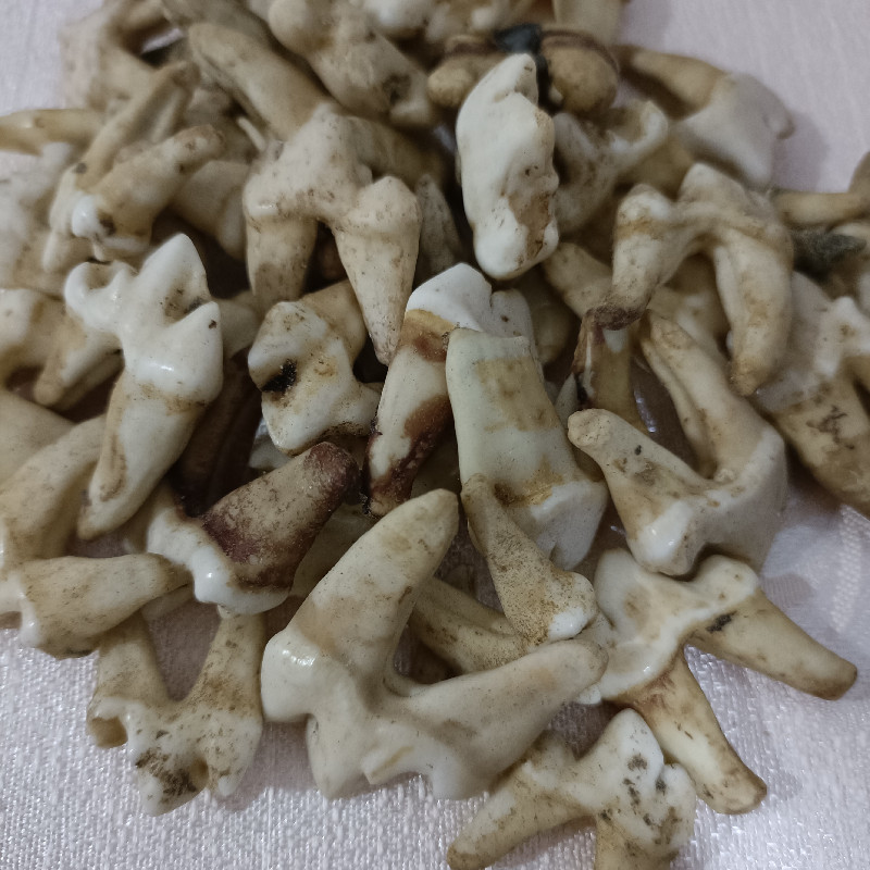 QQ图片20211216222001_副本