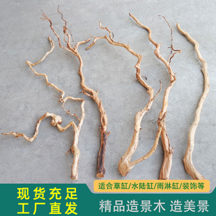 ��֦���N��֦�l�쾰�����L֦�l�L���ܛ�b�٘����ԭ���B�~���쾰