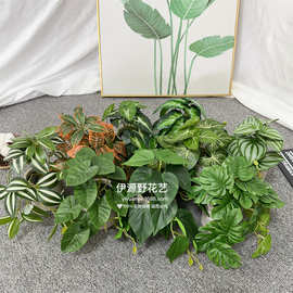 亚马逊仿真绿植3D打印过胶龟背叶西瓜叶绿萝藤条装饰盆栽盆栽植物