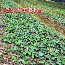 �ݱ����r�S���N���ϻ����u�^�S���໨�S�����S���N�яS�����l