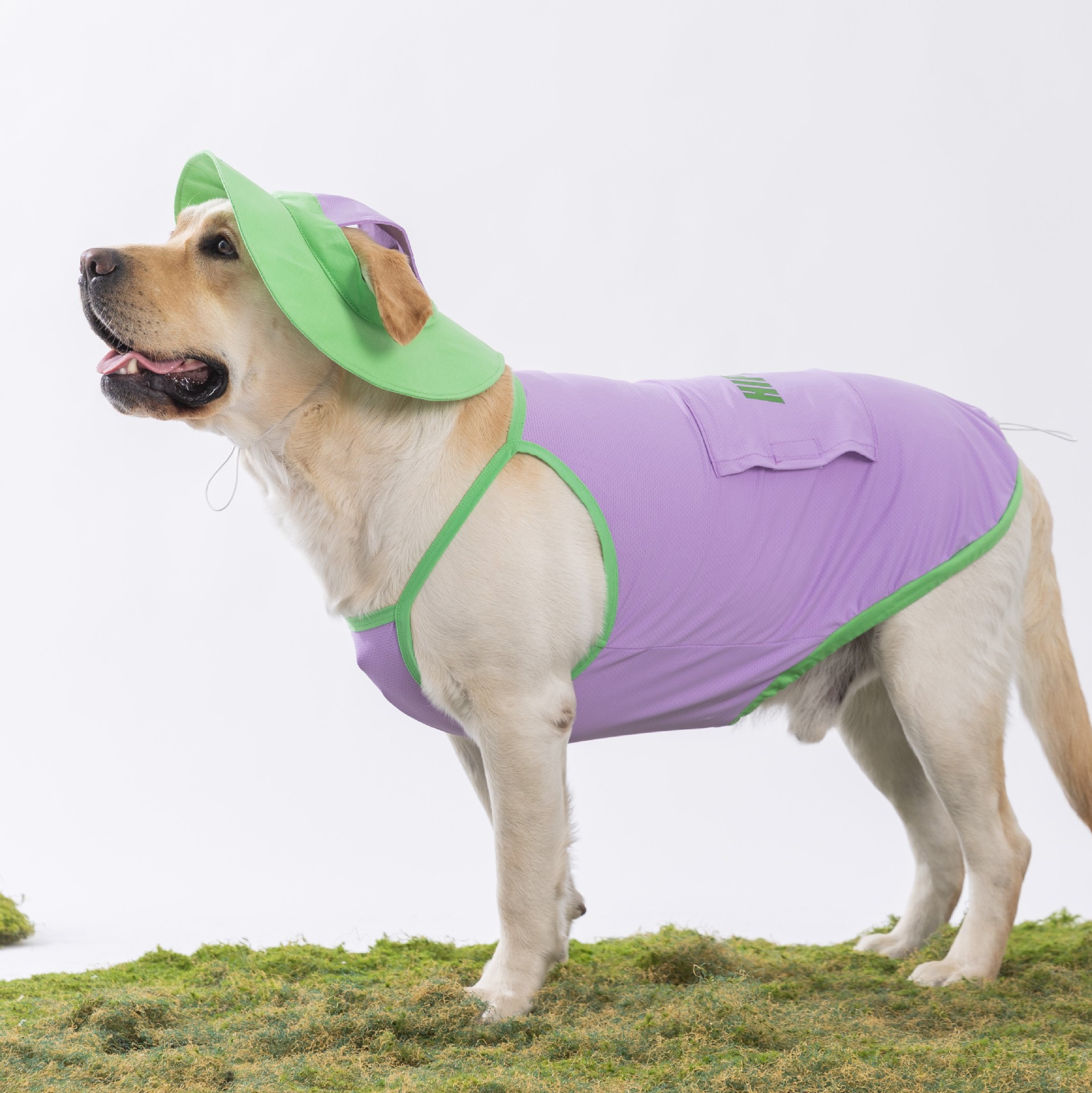 Perros de verano, perros medianos y grandes, ropa fresca y fresca, traje con capucha, chaleco para perros Golden Retriever Satsuma, ropa para perros