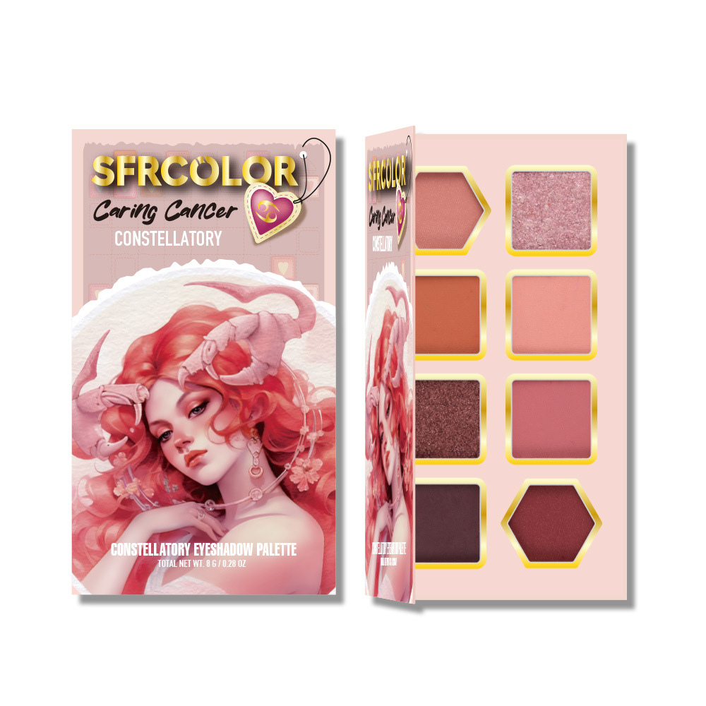 s.f.r color transfronterizo exclusivo para nuevos productos mate perla doce constelación de sombra de ojos set maquillaje al por mayor