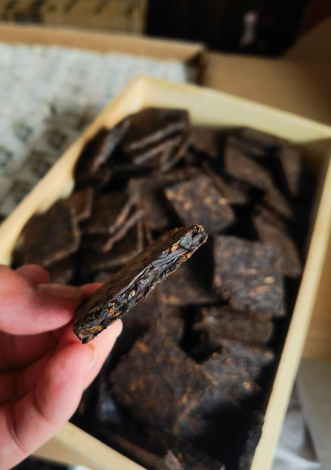 mmexport1702029437231_edit_311