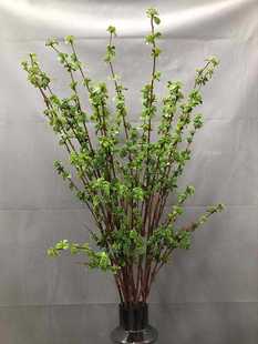 ���^����Ұ����F���Ҿ��b���ѩ����ɫӭ����֦�l�����ٗl�廨