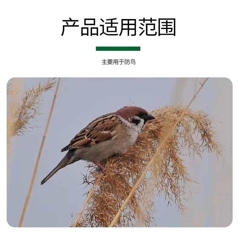 微信图片_20230406152448